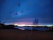 ニコの画像