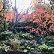 たかとぅんの画像