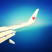 o226の画像