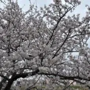 なーこの画像