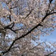文藝春秋 1998年3月・4月特別号 - メルカリ