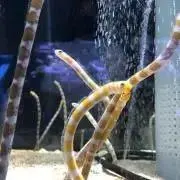 なこの画像