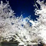 古都里の画像