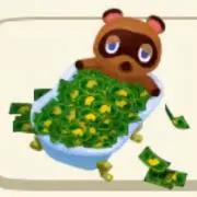 たぬきちの画像