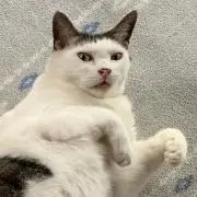 てぃの画像
