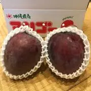 島袋農園の画像