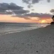さぼの画像