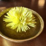 aibの画像