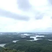 けみそんの画像