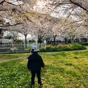 あっちゃん☆プロフ読んで下さいね♪