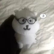 ︎︎きゅあの画像