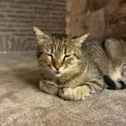 プロフご確認ください⭐︎そらやんの画像