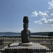 o.yの画像