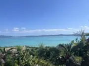 おがの画像