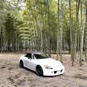 masaの画像