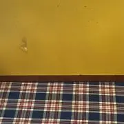 hasuの画像