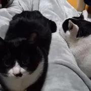 あっち