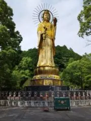 Image of よーちゃん