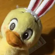 チョコたん(*^o^*)