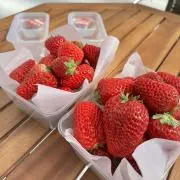 Berryの画像