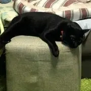 まこ_の画像