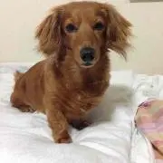 くうの画像
