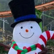 きなこの画像