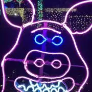礼の画像