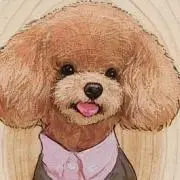 ポルコの画像