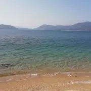 rinoの画像