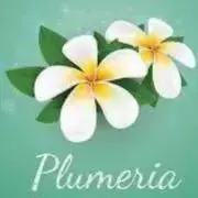 プルメリアの画像