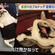 みかんの画像