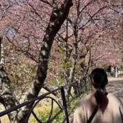 かんなの画像