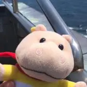 kotekotaの画像
