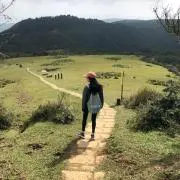 Lilyの画像