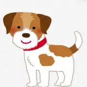 ねこの画像