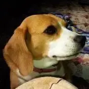 みかんちょん　プロフお読み下さいの画像