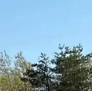 あず
