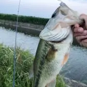 バス釣り大魔王の画像