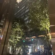 あり