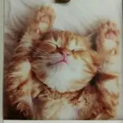 シュエットの画像