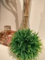 kuki.