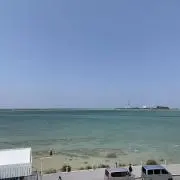 とっしーの画像