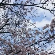ななな