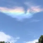 やなの画像