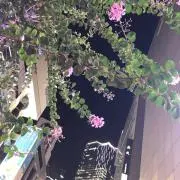 jmgwjの画像