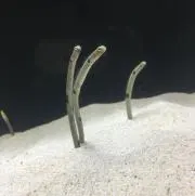 yukaの画像