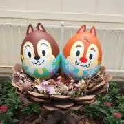 みかん