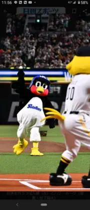 エースヤフーレ様専用 東京ヤクルトスワローズ 青木宣親 背番号1番
