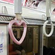 Toshiの画像